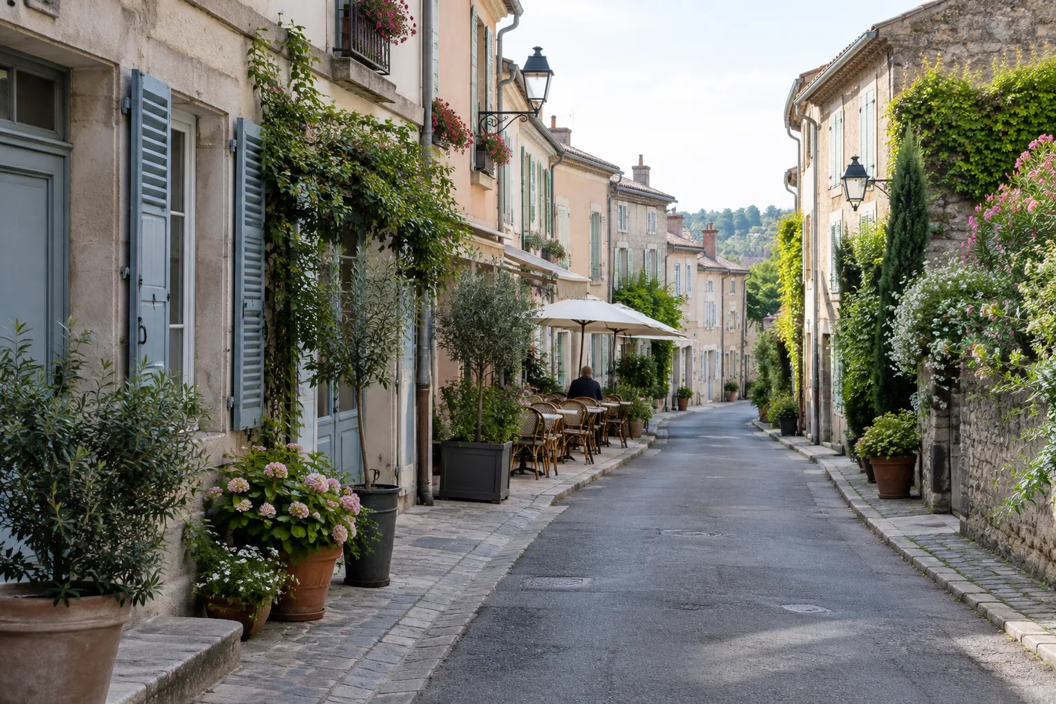 Une rue calme bordée de façades et de plantes, idéale pour une promenade de quartier.